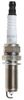 Spark Plug (Ignition System)