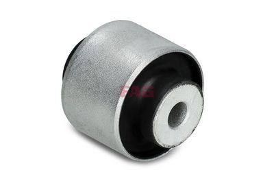 Mounting, control/trailing arm (Wheel Suspension)