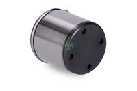 Plunger High Pres Pump Skoda Octavia Ina