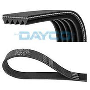 V-ribbed Belt