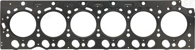 Gasket, cylinder head (Cylinder Head)