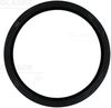 Shaft Seal, crankshaft (Crankshaft Drive)