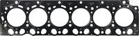 Gasket, cylinder head (Cylinder Head)