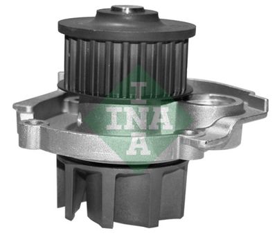 Water Pump Ina Fiat 500