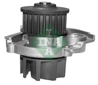 Water Pump Ina Fiat 500