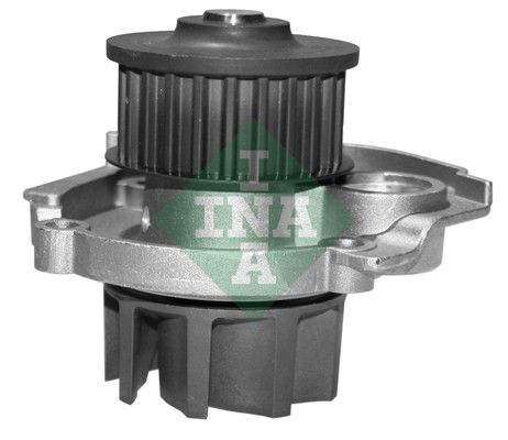 Water Pump Ina Fiat 500