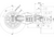 Brake Disc (Braking System)