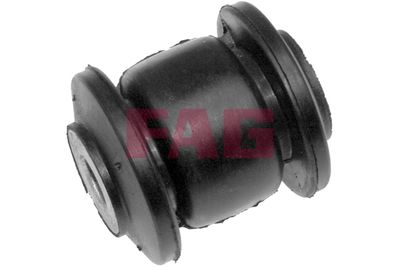 W/Bone/Mount