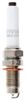 Spark Plug (Ignition System)