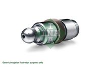 Tappet RENAULT