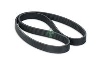 V-ribbed Belt (Belt Drive)
