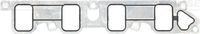 Gasket, intake manifold (Cylinder Head)