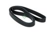 V-ribbed Belt (Belt Drive)