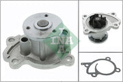 Water Pump Ina Nissan Juke
