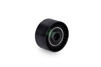 Guide Pulley - Timing Belt - Ina 307 (3A