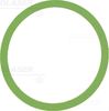 Manifold Gasket - Glaser - Seat Ibiza Iv
