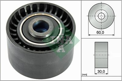 Guide Pulley - Timing Belt - Ina 307 (3A