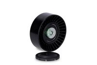 V-Ribbed Belt Pulley Ina Audi A4