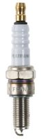 Spark Plug (Ignition System)