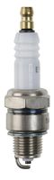 Spark Plug (Ignition System)