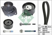 Timing Belt, Water Pump Peugeot 307 Ina