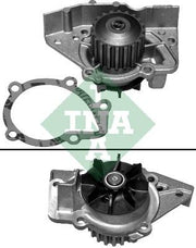 Water Pump Ina Peugeot 405