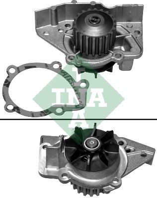 Water Pump Ina Peugeot 405
