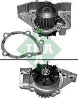 Water Pump Ina Peugeot 405