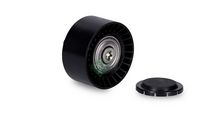 Guide Pulley - V-Ribbed Belt - Ina Bmw 3