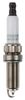 Spark Plug (Ignition System)