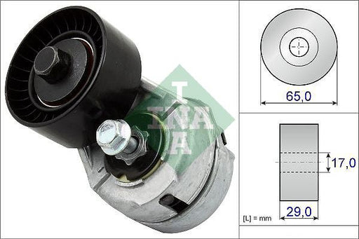 Aux Tensioner INA