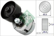 Aux Tensioner INA