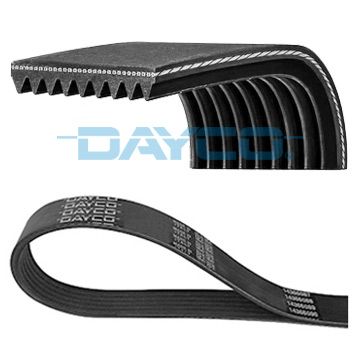 V-ribbed Belt