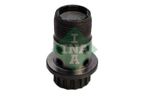 Central Valve, camshaft adjustment (Engine Timing)