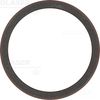 Shaft Seal, crankshaft (Crankshaft Drive)