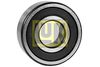 Pilot Bearing, clutch (Clutch)