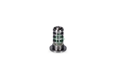 Central Valve, camshaft adjustment VW