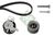 Timing Belt Set - Ina - Peugeot 406 (8B)