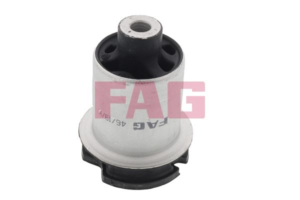 Axle Mount FAG