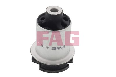 Axle Mount FAG