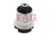 Axle Mount FAG