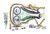 Timing Chain Kit - Ina - Passat B7