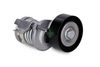 Belt Tensioner - V-Ribbed Belt - Ina Jet