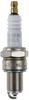 Spark Plug (Ignition System)