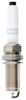 Spark Plug (Ignition System)
