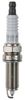 Spark Plug (Ignition System)